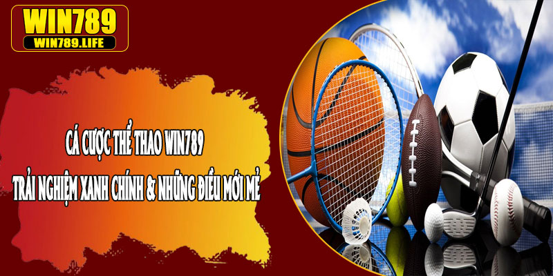 Cá Cược Thể Thao Win789 – Trải Nghiệm Xanh Chính & Những Điều Mới Mẻ