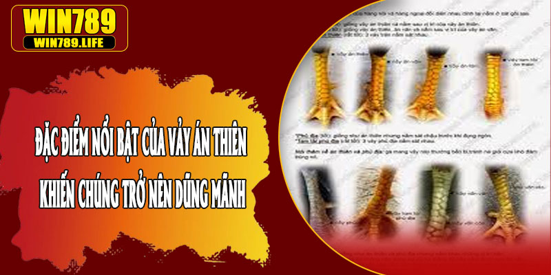Đặc Điểm Nổi Bật Của Vảy Án Thiên Khiến Chúng Trở Nên Dũng Mãnh