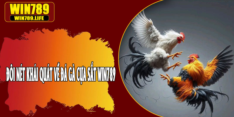 Đôi Nét Khái Quát Về Đá Gà Cựa Sắt Win789