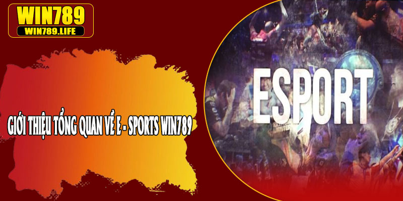 Giới Thiệu Tổng Quan Về E - Sports Win789