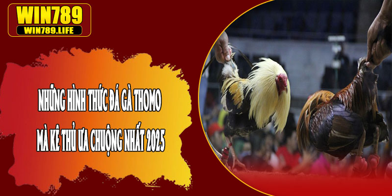 Những Hình Thức Đá Gà Thomo Mà Kê Thủ Ưa Chuộng Nhất 2025