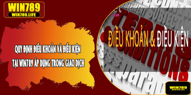 Quy Định Điều Khoản và Điều Kiện Tại Win789 Áp Dụng Trong Giao Dịch
