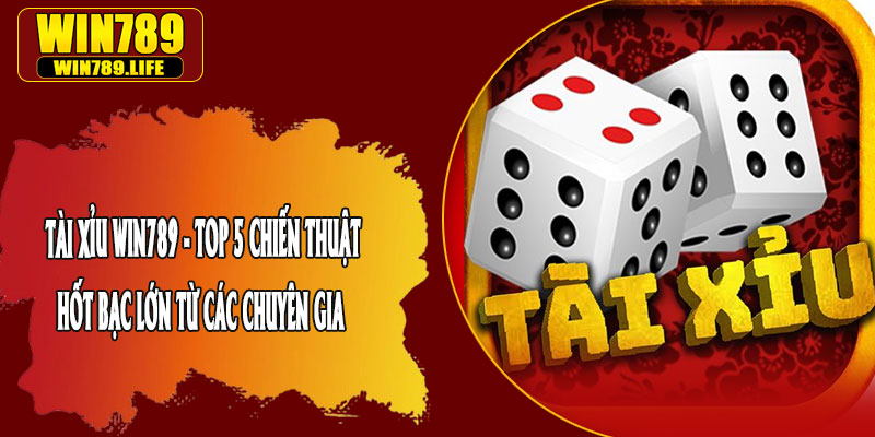Tài Xỉu Win789 - Top 5 Chiến Thuật Hốt Bạc Lớn Từ Các Chuyên Gia