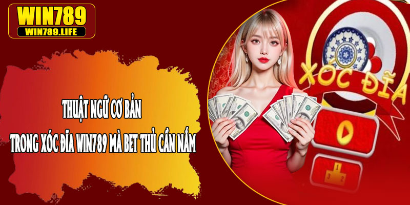 Thuật Ngữ Cơ Bản Trong Xóc Đĩa Win789 mà Bet Thủ Cần Nắm