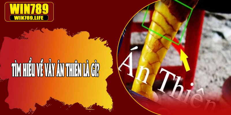 Tìm Hiểu Về Vảy Án Thiên Là Gì?