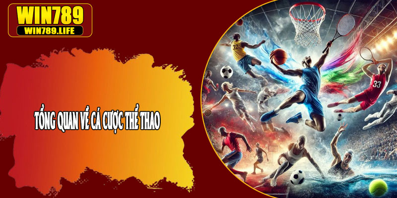 Tổng Quan Về Cá Cược Thể Thao