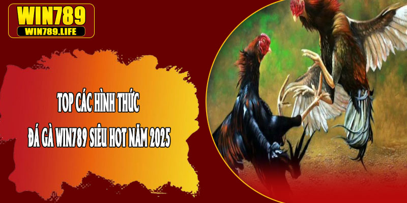 Top Các Hình Thức Đá Gà Win789 Siêu Hot Năm 2025